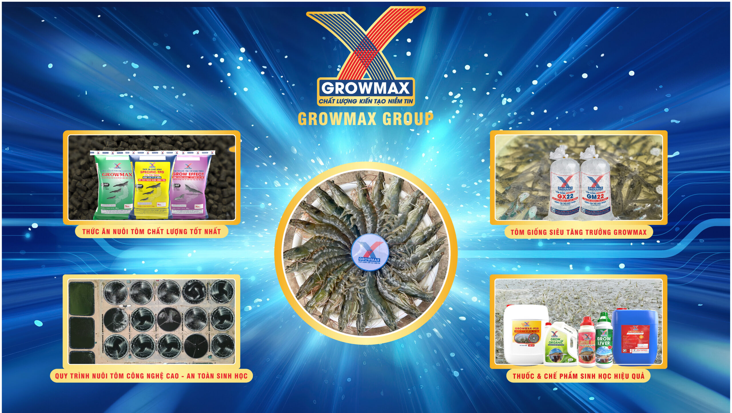Ads-web_background-01